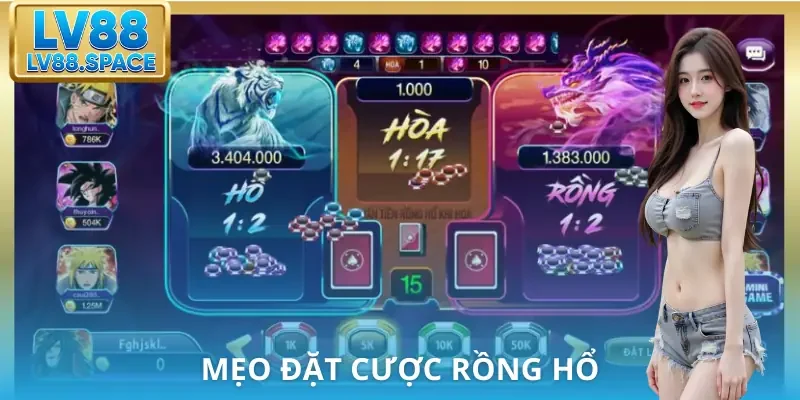 cach-choi-rong-ho-meo-choi